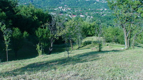 Venta terreno edificable en Breaza valle de Prahova, Rumania, directa dueno